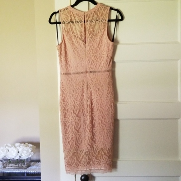 Bebe Pink Lace Dress - Picture 2 of 3